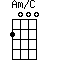 Am/C=2000_1