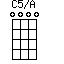 C5/A=0000_1