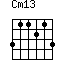 Cm13=311213_1
