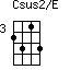 Csus2/E=2313_3