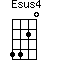 Esus4=4420_1