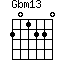 Gbm13=201220_1