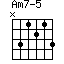 Am7-5=N31213_1