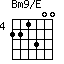 Bm9/E=221300_4