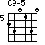 C9-5=230130_5