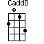 CaddD=2013_1