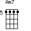 Am7=1111_5