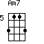 Am7=3113_5