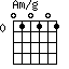 Am/g=010101_0