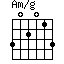 Am/g=302013_1