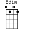 Bdim=0101_1