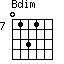 Bdim=0131_7