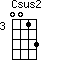 Csus2=0013_3