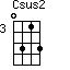 Csus2=0313_3