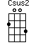 Csus2=2003_1