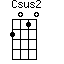 Csus2=2010_1