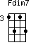 Fdim7=1313_3