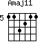 Amaj11=113211_5