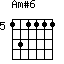 Am#6=131111_5