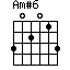 Am#6=302013_1