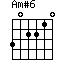 Am#6=302210_1