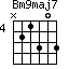 Bm9maj7=N21303_4