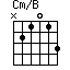 Cm/B=N21013_1