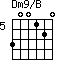 Dm9/B=300120_5