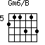 Gm6/B=211313_5