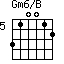 Gm6/B=310012_5