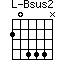 Bsus2=20444N_1