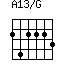 A13/G=242223_1