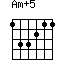 Am+5=133211_1