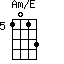Am/E=1013_5
