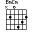 BmCm=N20432_1