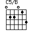 C5/B=022013_1