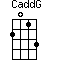 CaddG=2013_1
