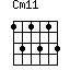 Cm11=131313_1
