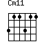 Cm11=311311_1