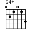 G4+=N21013_1