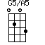 G5/A5=0203_1