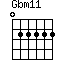 Gbm11=022222_1