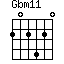Gbm11=202420_1