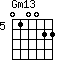 Gm13=010022_5