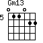 Gm13=011022_5