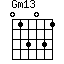 Gm13=013031_1