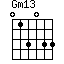 Gm13=013033_1