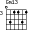 Gm13=031131_3