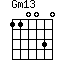 Gm13=110030_1