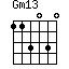 Gm13=113030_1
